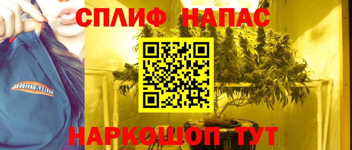 Шишки марихуана тримм  Вход с VPN  Марихуана семена  Калач-на-Дону  Каннабис THC 21%  Марихуана Ganja 